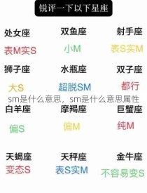 sm是什么意思，sm是什么意思属性