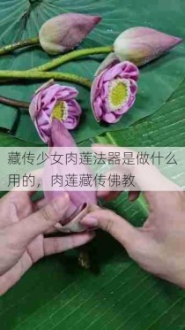 藏传少女肉莲法器是做什么用的，肉莲藏传佛教