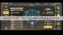 dnf公会升级，dnf公会升级到4级需要多少资金