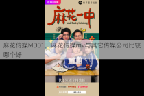 麻花传媒MD01，麻花传媒mv与其它传媒公司比较哪个好