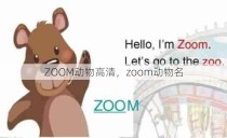 ZOOM动物高清，zoom动物名