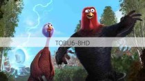 TOBU6-8HD