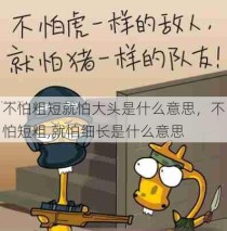 不怕粗短就怕大头是什么意思，不怕短粗,就怕细长是什么意思