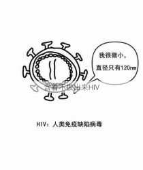 含着不拔出来HIV