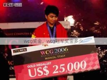 wcg奖金，wcg冠军奖金多少