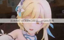 原神AKT VICINEKO网站，ariakk原神