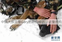 中国大叔武警Gary的职位经历，武警的狗