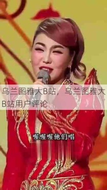 乌兰图雅大B站，乌兰图雅大B站用户评论