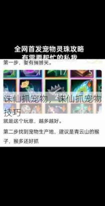 诛仙抓宠物，诛仙抓宠物技巧