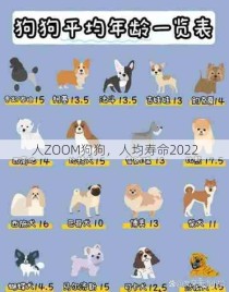 人ZOOM狗狗，人均寿命2022