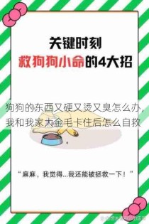 狗狗的东西又硬又烫又臭怎么办，我和我家大金毛卡住后怎么自救