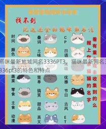 猫咪最新地域网名3336PT3，猫咪最新网名3336pt3的特色和特点