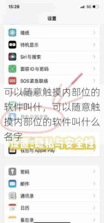 可以随意触摸内部位的软件叫什，可以随意触摸内部位的软件叫什么名字