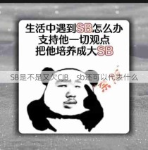 SB是不是又欠CJB，sb还可以代表什么