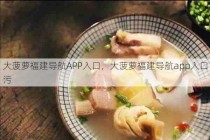 大菠萝福建导航APP入口，大菠萝福建导航app入口污