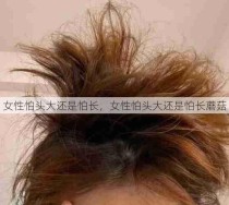 女性怕头大还是怕长，女性怕头大还是怕长蘑菇