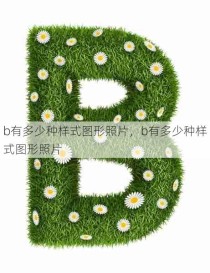 b有多少种样式图形照片，b有多少种样式图形照片