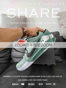 ZOOM与牛性胶ZOOM