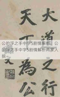 公的浮之手中字5剧情解析，公的浮之手中字5剧情解析两家人摈