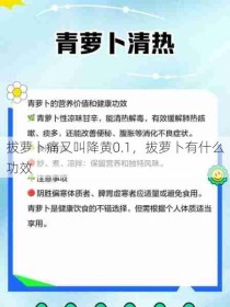 拔萝卜痛又叫降黄0.1，拔萝卜有什么功效