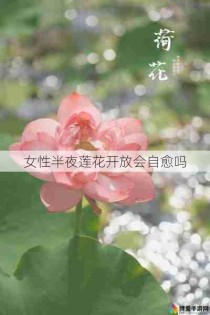 女性半夜莲花开放会自愈吗