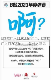 b站推广入口2023mmm，b站推广入口2023mmm是什么意思