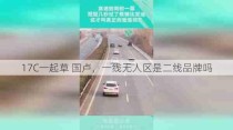 17C一起草 国卢，一线无人区是二线品牌吗