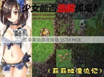 安卓黄油游戏网站 SSTM.MOE