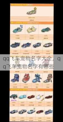 qq飞车宠物名字大全，qq飞车宠物名字有哪些