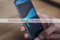 手机PROUMB网站，手机网站给个2020