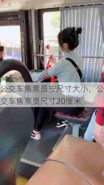 公交车售票员按尺寸大小，公交车售票员尺寸20厘米