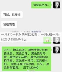 一只S和一只M的对话截图，一只s和一只m的对话截图是什么