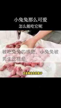 被吃兔兔的感觉，小兔兔被男生吃视频