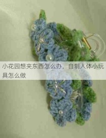 小花园想夹东西怎么办，自制入体小玩具怎么做