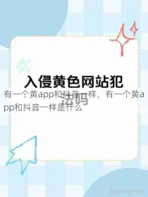 有一个黄app和抖音一样，有一个黄app和抖音一样是什么