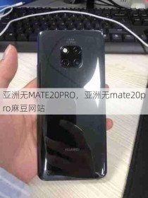 亚洲无MATE20PRO，亚洲无mate20pro麻豆网站