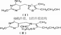 b的外观，b的外观结构