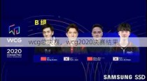 wcg总决赛，wcg2020决赛结果