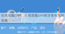 在线观看CRM，在线观看crm叛逆者电视剧免费