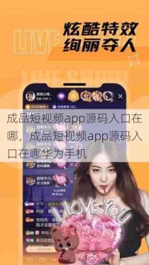 成品短视频app源码入口在哪，成品短视频app源码入口在哪华为手机