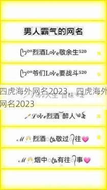 四虎海外网名2023，四虎海外网名2023