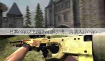 日本csgo大姐姐awp多少钱，高清大片csgo