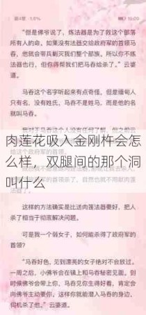 肉莲花吸入金刚杵会怎么样，双腿间的那个洞叫什么