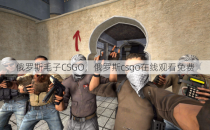 俄罗斯毛子CSGO，俄罗斯csgo在线观看免费