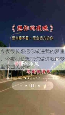 今夜很长想把你做进我的梦里，今夜很长想把你做进我的梦里歌曲免费听