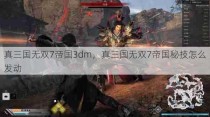 真三国无双7帝国3dm，真三国无双7帝国秘技怎么发动