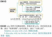 sm的意思，mechanism的意思