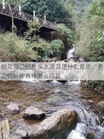 桃花洞口已是溪水潺潺是什么意思，老公你好棒真棒怎么回复