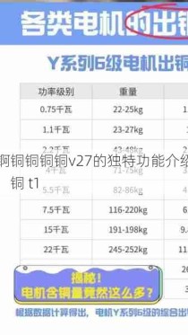 锕铜铜铜铜v27的独特功能介绍，铜 t1