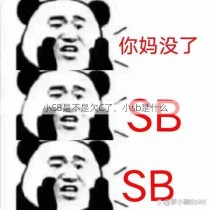 小SB是不是欠C了，小sb是什么